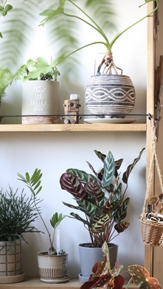 築50年！自宅の収納大公開、ルームツアー。